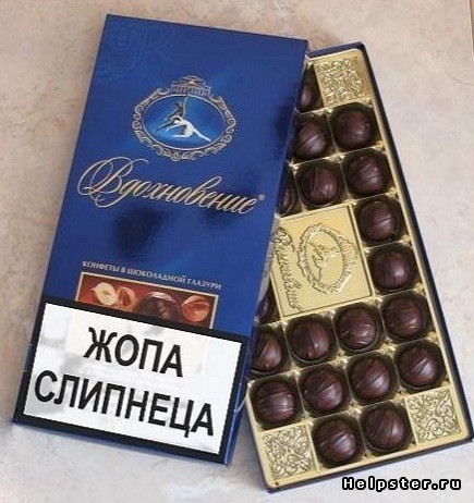 348428.jpg