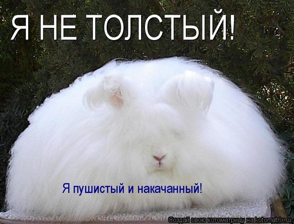 x_667cd19e.jpg