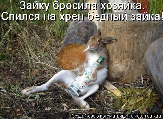 x_417302a3.jpg