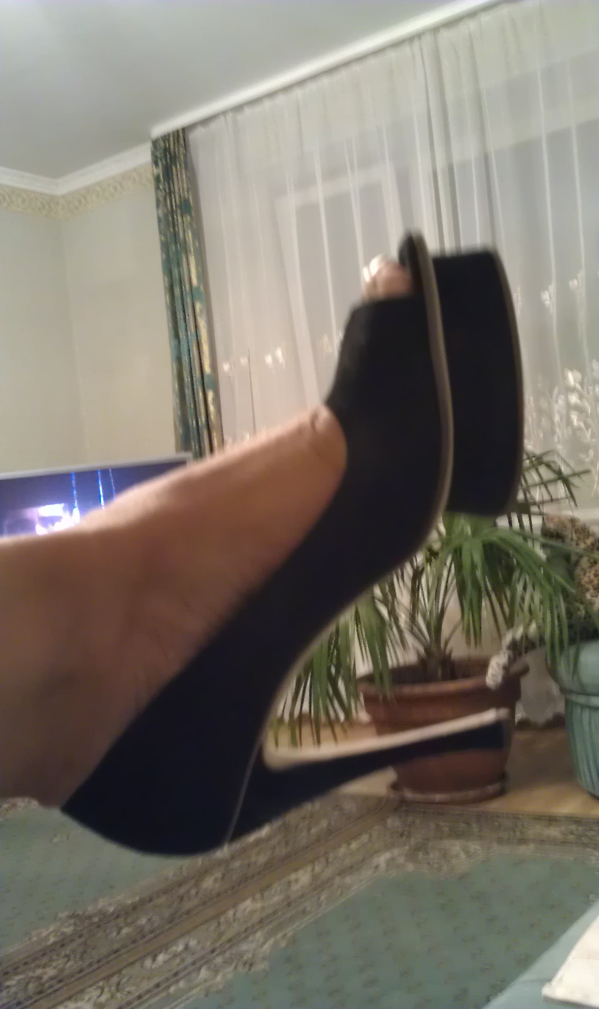 IMAG0401.jpg