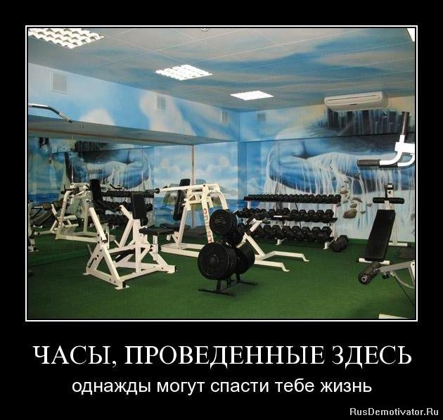 1288695295_nw7n0sdks5ll.jpg