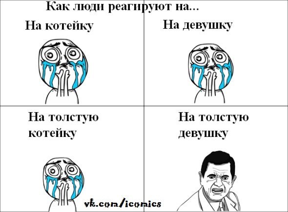 реакция.jpg