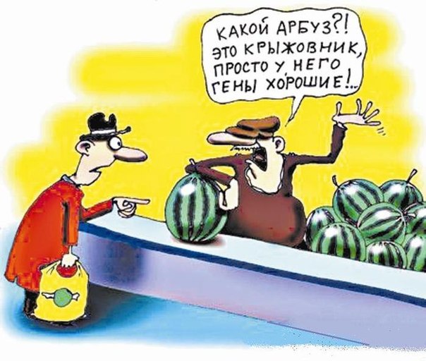 iLmyECeb1X0.jpg