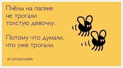 пчелы.jpg