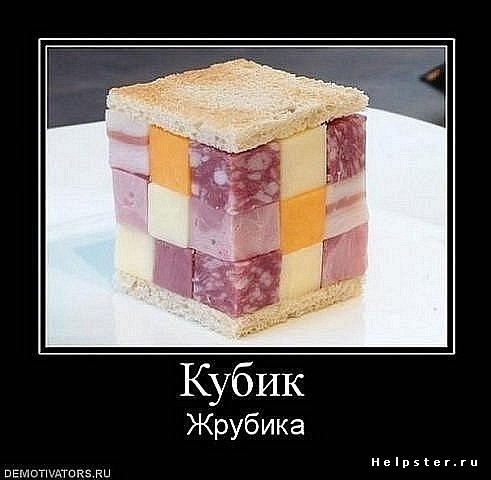 348389.jpg