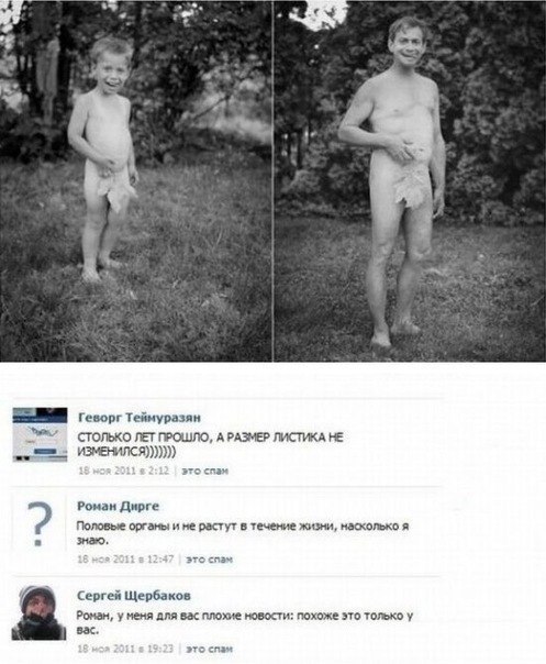 3129812.jpg