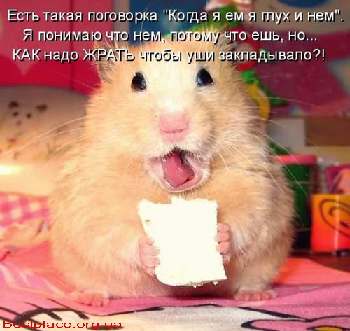 1237204531_c_13.jpg