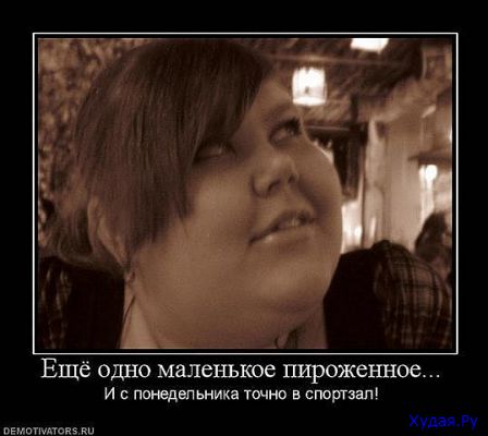 976e77aa8c2bdcd2b1d545e786cb7563.jpg