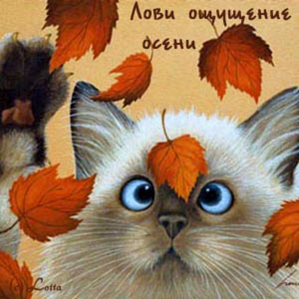 3b0548f304fa6382b0f3fc3efed78b46.jpg