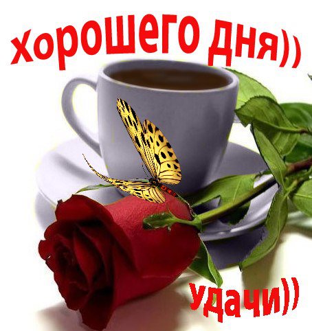 598467_406825446030106_612985080_n.jpg