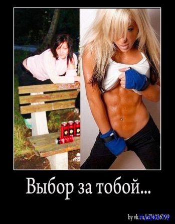 c4f1c76076c14be3f11902fda335caae.jpg