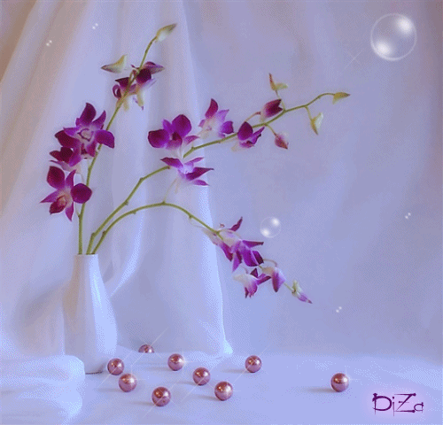 3.gif