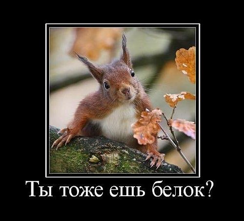 img_item_644.jpg