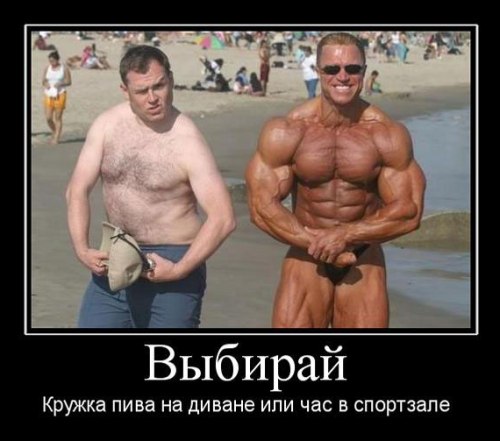 img_item_545.jpg
