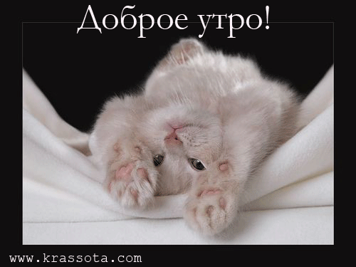 5032fb1be572a.gif