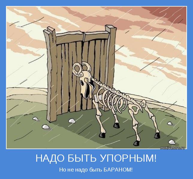 motivator-35551.jpg