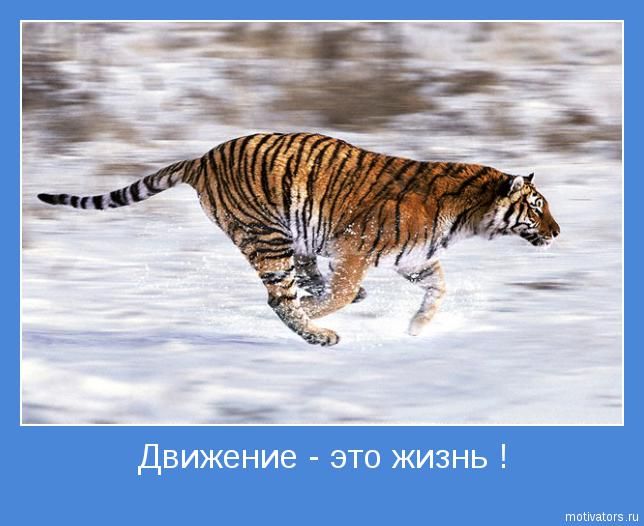 1294742179_motivator121.jpg