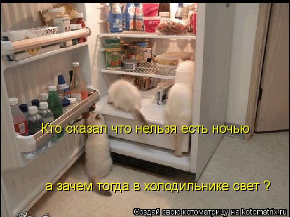 1165470.jpg