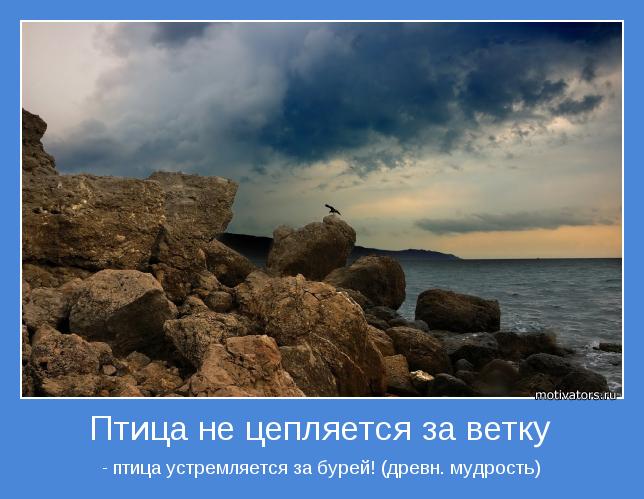 motivator-30610.jpg