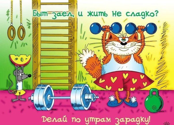 t4PzVmdS43E.jpg