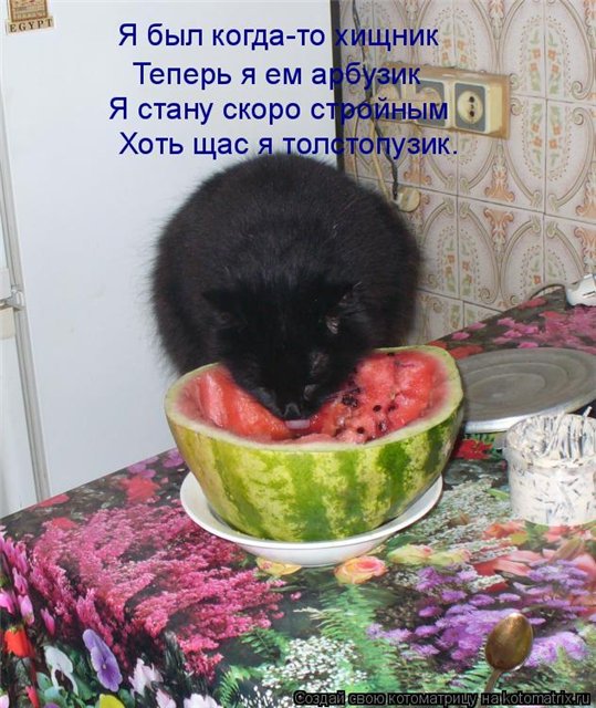 43fdeeb08f8e.jpg