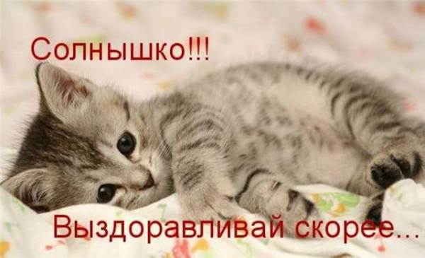 Кисунечка моя выздоравливай скорее.jpg