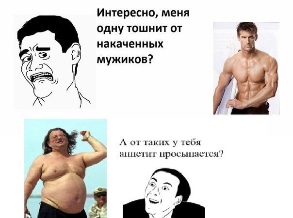 4yJcD6MLgR4.jpg