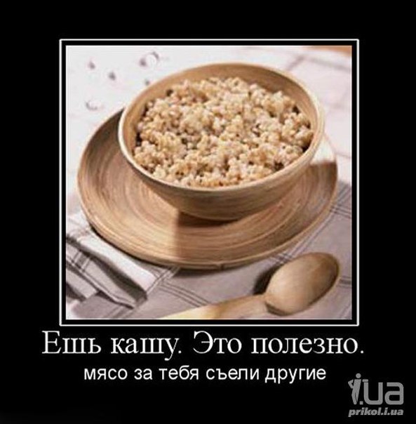 JQxvpg76skc.jpg