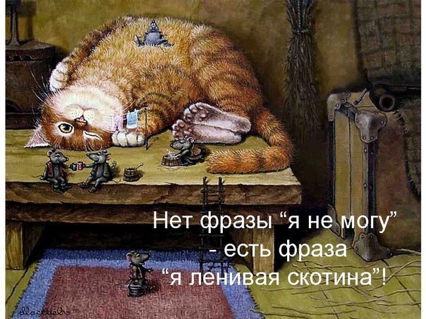 nLiMCSfYD5A.jpg