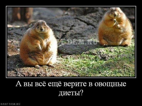 RbHwgQ0ik8E.jpg