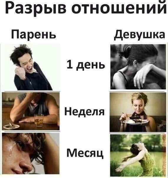 Wc5A2BIaikQ.jpg