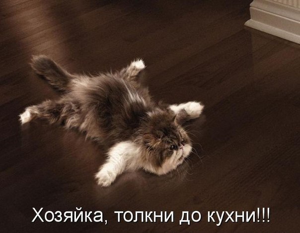 v64orY9yq8Y.jpg