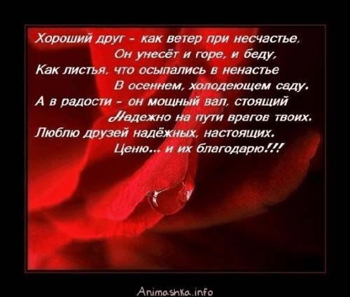 143110918.jpg