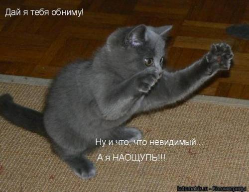 221750049.jpg