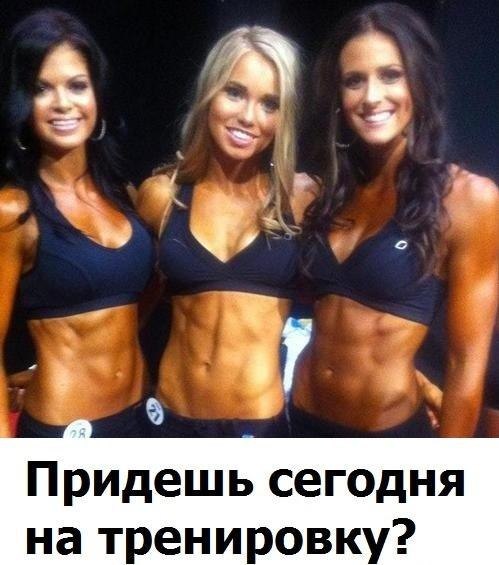 JLuX4liaQR0.jpg