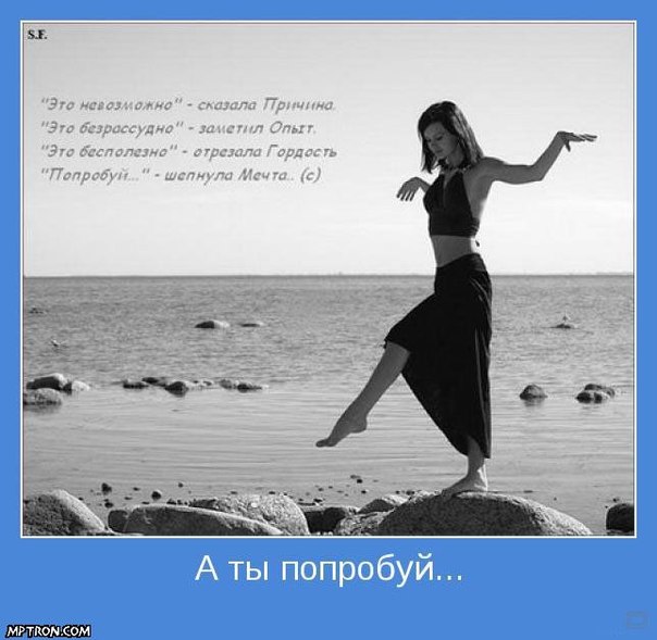 9P773Gn1z4c.jpg