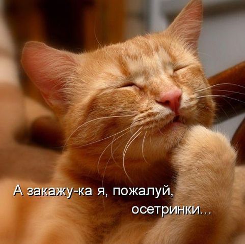 getImage (5).jpg