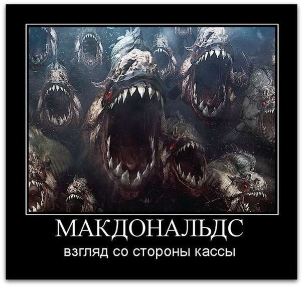 IxoQAy86R0Q.jpg