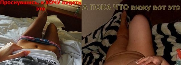 x_0cbeea40.jpg