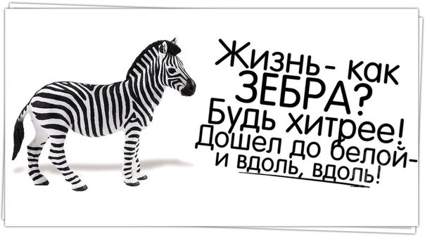 ycVBzIIZzeA.jpg