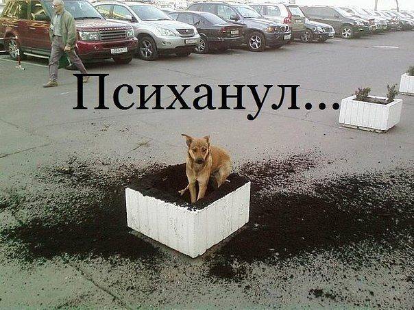 getImage.jpegаа.jpeg