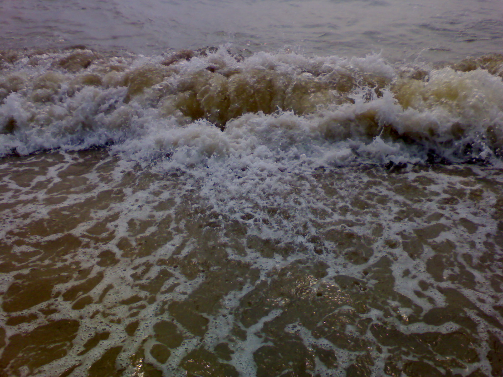 DSC02353.JPG