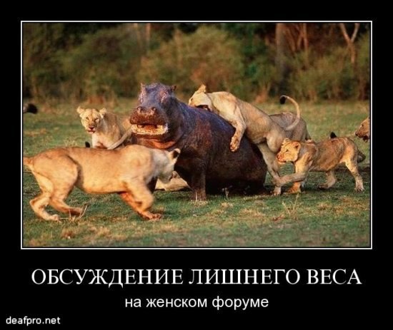 x_6e228699.jpg