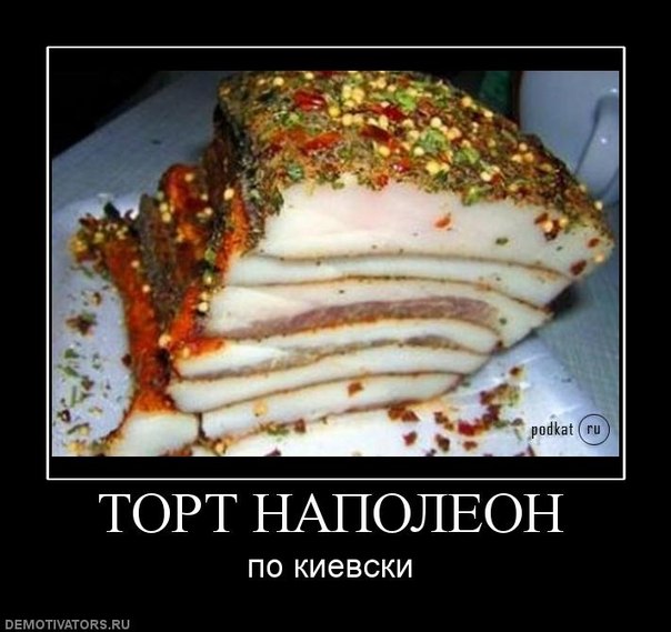 qj08SN9FGZ4.jpg