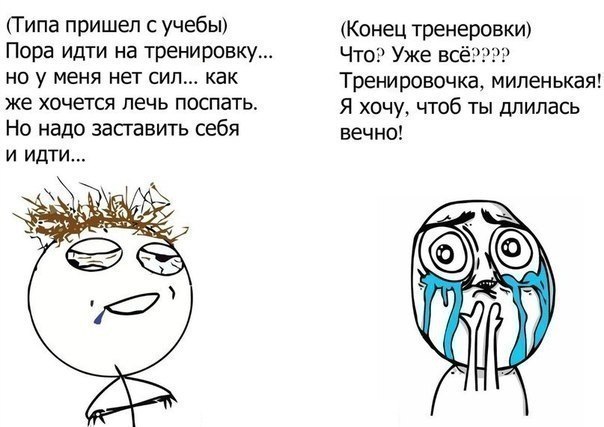 gd2Mx6ivcuA.jpg