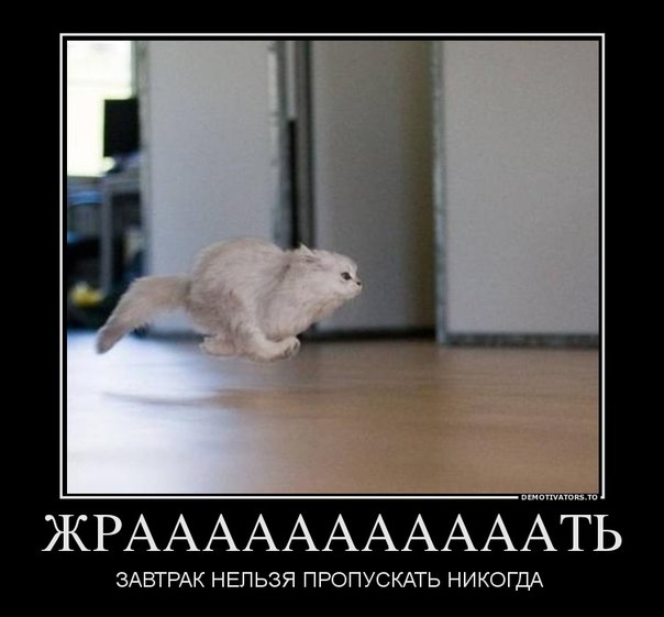 pXPOvhghorM.jpg