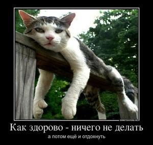 x_34931626.jpg