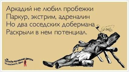 bEWN7kQVPhY.jpg