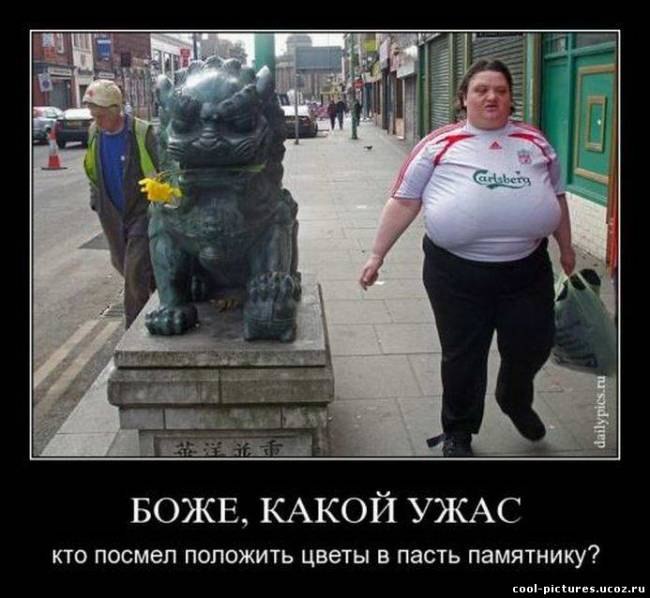 y_8f7c0add.jpg