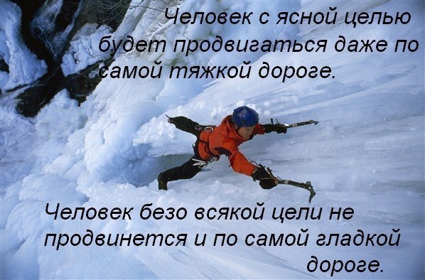 qBhmW9L0WV4.jpg